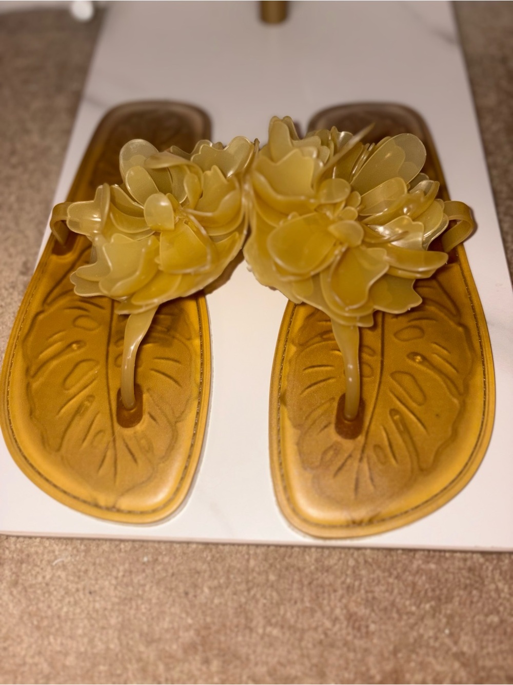 FARM Rio Buttermilk Flower Jelly Flat Thong Sandals